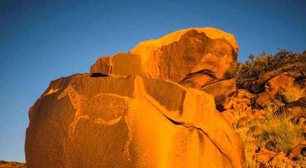Karoo Journey