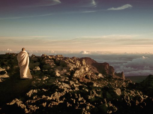 Discover Your Souls Purpose