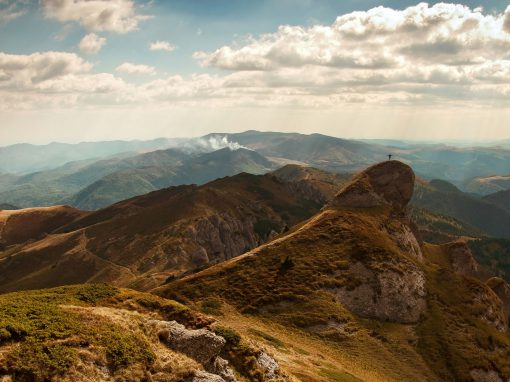 Education & Certifications